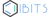 iBits LLC Logo