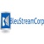 Bleu Stream Corp Logo