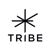 Tribe Communication Srl Logo