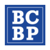 Provider Logotype Blockchain Blueprint Logo