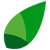 A fresh leaf. Logo