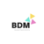 BDM SOLUTIONS Logo