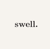 Swell YYC Logo
