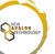 New Avalon Technology Logo