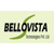 Bello Vista Tech Logo