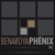 Benaroya Phenix inc. Logo