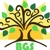 BGS Logo