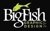 Big Fish Graphic Design LLC Logo
