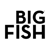 Big Fish Marketing & Advertising Logo