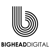 Big Head Digital Logo