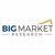 Big Market Research Logo