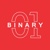 Binary Web Solutions India Pvt Ltd. Logo