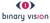 Binary Vision Logo