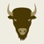 Bison Design Group Logo