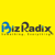 BizRadix Logo