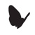 Black Butterfly Productions Logo