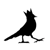 Blackbird Chateau Logo