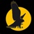 Black Falcon Productions Logo