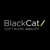 BlackCat Technology Solutions Ltd Logo