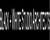 Provider Logotype Black + White Studio Architects Logo