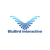 BluBird Interactive Ltd. Logo