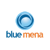 Blue Mena Group Logo