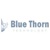 Blue Thorn Technology Logo