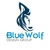 Blue Wolf Design Group Logo