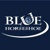 Blue Horseshoe Solutions Logo