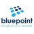 Blue Point Telecom Logo