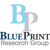 BluePrint Research Group Logo