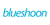 Blueshoon, inc Logo
