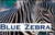 Blue Zebra Logo