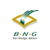 BNG Accountancy Logo