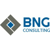 BNG Consulting, Inc. Logo