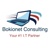 Bokionet Consulting Logo
