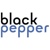 Black Pepper Software Ltd - Out of Business Logo