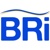 BR International Logistics Logo