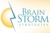 Brain Storm Strategies LLC Logo