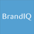 BRANDIQ Logo