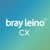 Bray Leino CX Logo