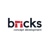 Bricks Concept Development Logo
