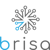 Brisa Robotica Logo