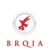 Provider Logotype BRQIA Logo