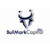 BullMark Capital, Inc. Logo