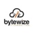 Bytewize Logo