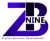 BZ9 LTD Logo