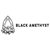 Black Amethyst, LLC Logo