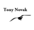 Tony Novak CPA Logo