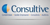 Consultive Auditoria e Consultoria Logo